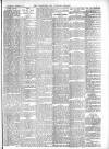 Warminster & Westbury journal, and Wilts County Advertiser Saturday 24 November 1894 Page 3