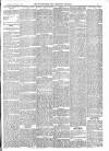 Warminster & Westbury journal, and Wilts County Advertiser Saturday 12 January 1895 Page 5