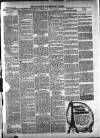 Warminster & Westbury journal, and Wilts County Advertiser Saturday 06 July 1901 Page 3