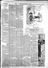 Warminster & Westbury journal, and Wilts County Advertiser Saturday 16 November 1901 Page 3