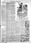 Warminster & Westbury journal, and Wilts County Advertiser Saturday 23 November 1901 Page 3