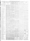 Warminster & Westbury journal, and Wilts County Advertiser Saturday 19 July 1902 Page 3