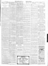 Warminster & Westbury journal, and Wilts County Advertiser Saturday 02 June 1906 Page 3