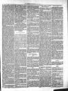 Beverley Echo Tuesday 10 February 1885 Page 3