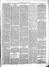 Beverley Echo Tuesday 23 February 1886 Page 3