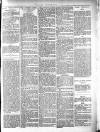 Beverley Echo Tuesday 21 December 1886 Page 3