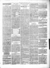 Beverley Echo Tuesday 17 April 1888 Page 3