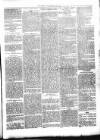 Beverley Echo Tuesday 12 February 1889 Page 3