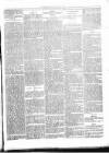 Beverley Echo Tuesday 26 February 1889 Page 3