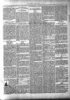 Beverley Echo Tuesday 11 February 1890 Page 3