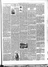 Beverley Echo Tuesday 27 February 1894 Page 3