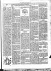 Beverley Echo Tuesday 27 March 1894 Page 3