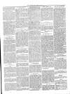 Beverley Echo Tuesday 12 February 1895 Page 3
