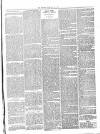 Beverley Echo Tuesday 21 May 1895 Page 3
