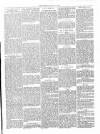 Beverley Echo Tuesday 11 June 1895 Page 3
