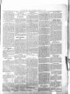 Beverley Echo Wednesday 22 October 1902 Page 3