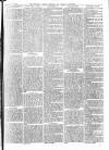 Beverley and East Riding Recorder Saturday 11 June 1864 Page 3