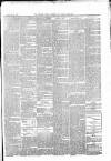 Beverley and East Riding Recorder Saturday 18 May 1878 Page 3