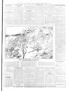 Beverley and East Riding Recorder Saturday 10 March 1900 Page 5