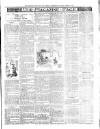 Beverley and East Riding Recorder Saturday 05 March 1904 Page 3