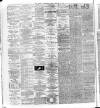 National Independent and People's Advocate Friday 15 February 1878 Page 2