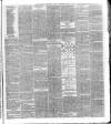 National Independent and People's Advocate Friday 15 February 1878 Page 3