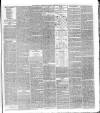 National Independent and People's Advocate Friday 22 February 1878 Page 3