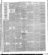 National Independent and People's Advocate Friday 19 April 1878 Page 3