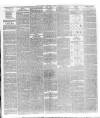 National Independent and People's Advocate Friday 26 April 1878 Page 3