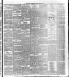 National Independent and People's Advocate Friday 19 July 1878 Page 3