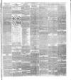 National Independent and People's Advocate Friday 09 August 1878 Page 3