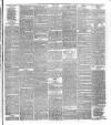 National Independent and People's Advocate Friday 27 December 1878 Page 3