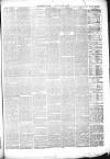 Whitby Times, and North Yorkshire Advertiser Friday 03 January 1873 Page 3