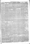 Whitby Times, and North Yorkshire Advertiser Friday 13 June 1873 Page 3