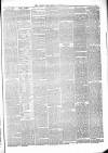 Whitby Times, and North Yorkshire Advertiser Friday 31 October 1873 Page 3