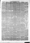 Whitby Times, and North Yorkshire Advertiser Friday 12 June 1874 Page 3