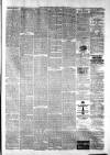 Whitby Times, and North Yorkshire Advertiser Friday 31 July 1874 Page 3