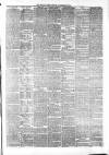 Whitby Times, and North Yorkshire Advertiser Friday 20 November 1874 Page 3