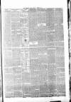 Whitby Times, and North Yorkshire Advertiser Friday 02 April 1875 Page 3