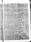 Whitby Times, and North Yorkshire Advertiser Friday 30 April 1875 Page 3