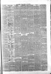 Whitby Times, and North Yorkshire Advertiser Friday 28 May 1875 Page 3