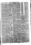 Whitby Times, and North Yorkshire Advertiser Friday 04 June 1875 Page 3