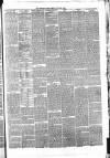 Whitby Times, and North Yorkshire Advertiser Friday 18 June 1875 Page 3
