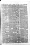 Whitby Times, and North Yorkshire Advertiser Friday 25 June 1875 Page 3