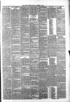 Whitby Times, and North Yorkshire Advertiser Friday 29 October 1875 Page 3