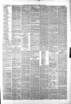 Whitby Times, and North Yorkshire Advertiser Friday 10 December 1875 Page 3