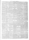 Whitby Times, and North Yorkshire Advertiser Friday 02 November 1877 Page 3