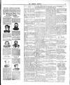 Dundalk Examiner and Louth Advertiser Saturday 31 May 1902 Page 3