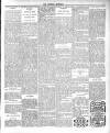 Dundalk Examiner and Louth Advertiser Saturday 01 November 1902 Page 5