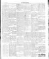 Dundalk Examiner and Louth Advertiser Saturday 03 June 1905 Page 3